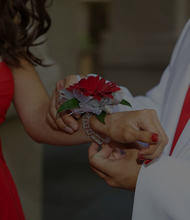 Our Services